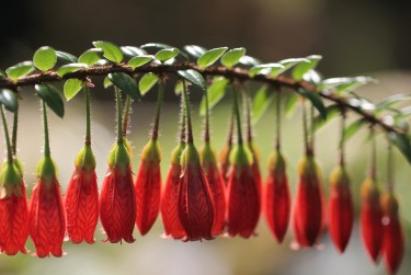 深圳龙华区2私人快速借钱网，轻松解决资金难题
