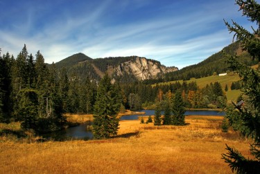 深圳龙华区2民间私贷攻略：揭秘低成本借贷的秘密